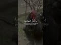 One Day The Fox Came Out Ahmed Shawqy برز الثعلب يوما أحمد شوقي Arabic Poetry Poem شعر One Day The Fox Came Out Ahmed Shawqy برز الثعلب يوما أحمد شوقي Arabic Poetry Poem شعر