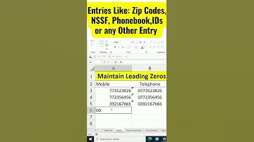 Maintain Leading Zeros in Excel