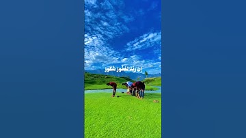 تلاوة مباركة بصوت عذب تهدأ لها القلوب وتطمئن النفوس، شارك الأجر بنشر الفيديو #قرآن #اكسبلور