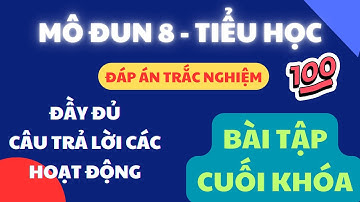 Đáp án mô đun 8 tiểu học đầy đủ nhất | Trắc nghiệm + Sản phẩm nộp cuối khóa