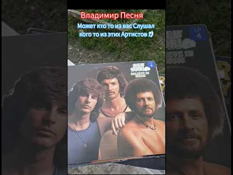 Владимир Песня / Заворожила #shortvideo #shorts #musicshorts