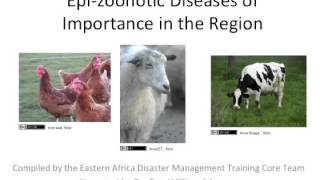 EAHA DM 1.2b: Epi-zoonotic Diseases of Importance in the Region - Multi-Lingual Captions News