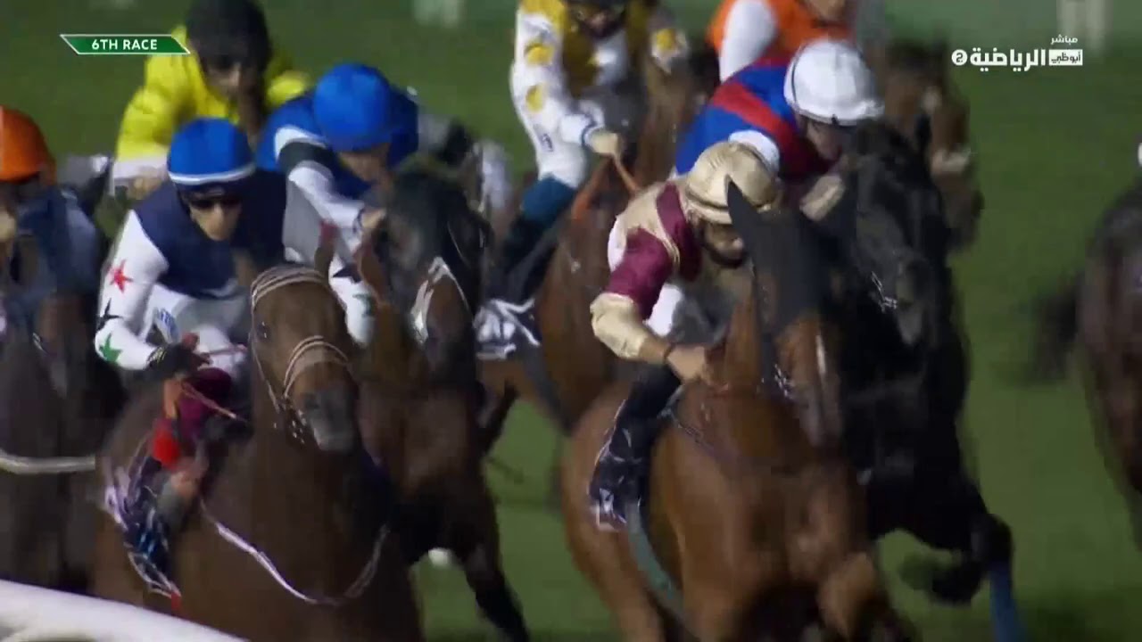 شوط الربع الخالي- مضمار أبوظبي الأحد 7 فبراير