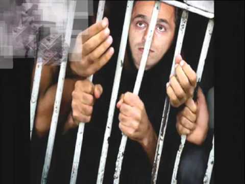 يا عينى على الولد