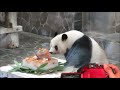 ちらりパンダのタンタンの23歳のお誕生日会【王子動物園】2018年9月16日
