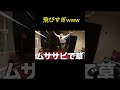ひゅうが飛びすぎ笑笑 #コムドット切り抜き #コムドット #コムドットひゅうが