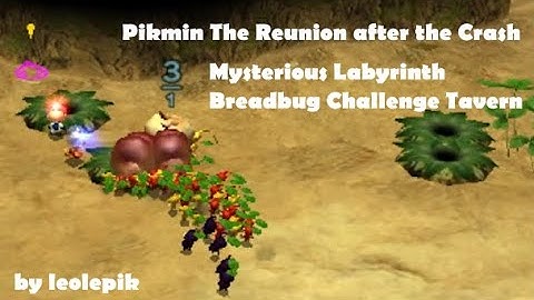 Pikmin 2 Custom Cave Challenge Mysterious Labyrinth and Breadbug Challenge Tavern (beta)