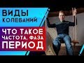 Виды колебаний | Частота, фаза и период колебаний | ЕГЭ Физика | Николай Ньютон | ТЕХНОСКУЛ