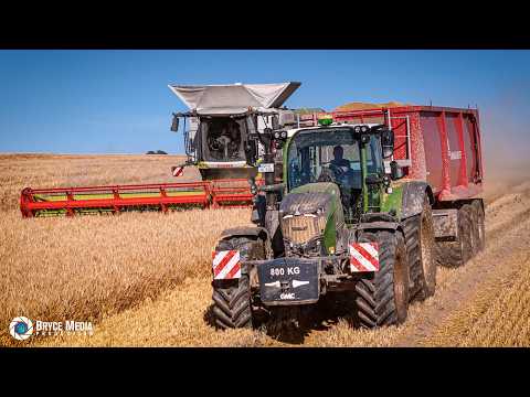 🚜 Giganten im Gerstenfeld! | CLAAS LEXION 8800 auf den langen Bahnen | Pure Machine Sound