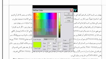 Lesson-9-Inpage2004Xp Creating new color for text and borders.wmv