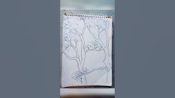 Trees drawing easy |#tree #drawing #shortvideo