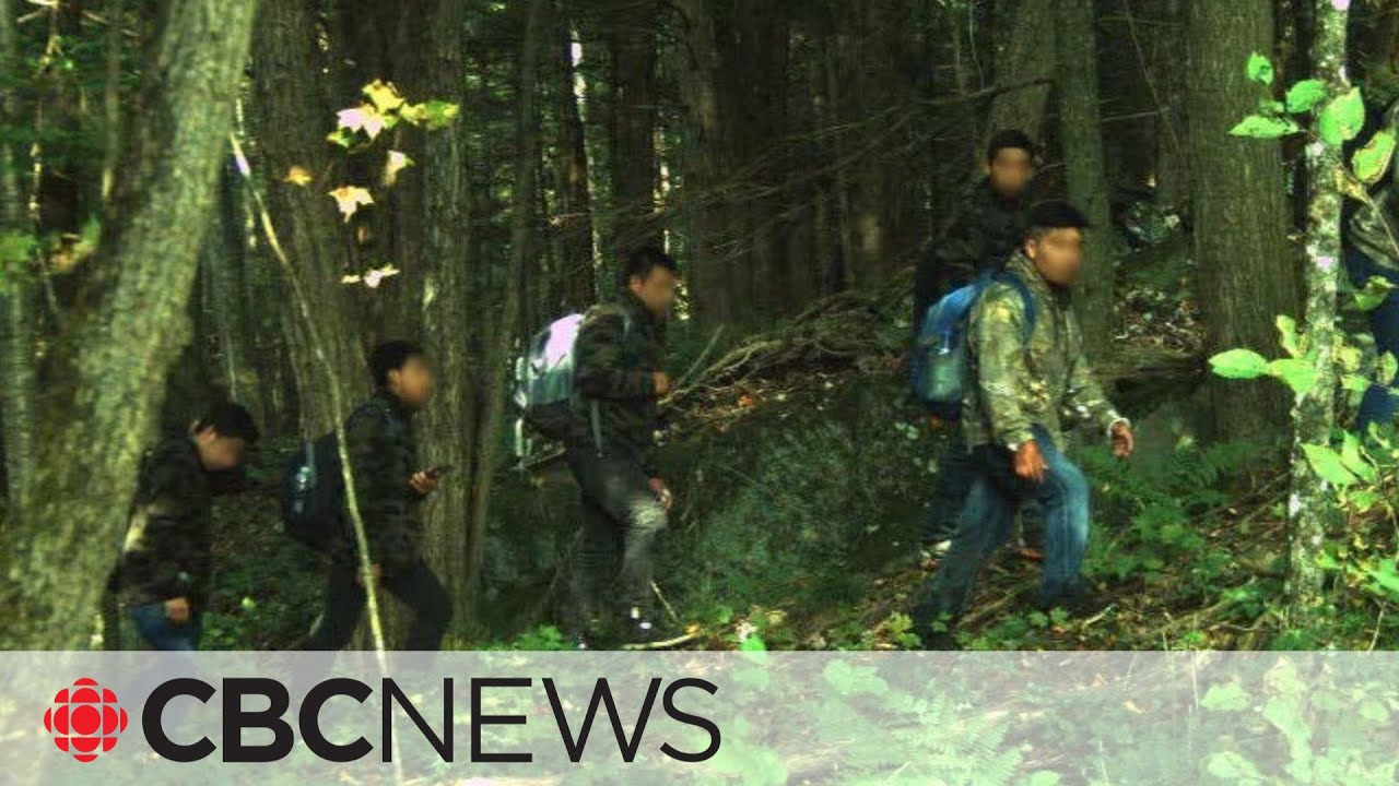 RCMP says human smuggling from Canada to U.S. a 'lucrative market' attracting organized crime