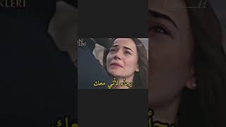 باران & ديلان  / زهور الدم 🥀🔥