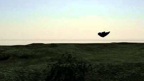 3ds max butterfly animation