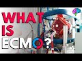 What is ECMO? The basics explained.