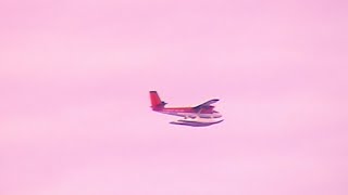 Wavepool - Tiny Cowboy Official Video