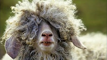 Урок 70 - GUI, JList в Java (часть 2). Evil Nerd