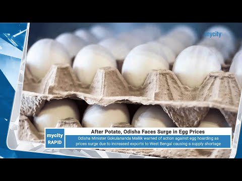 After Potato, Odisha Faces Surge in Egg Prices | News Highlights | My City Links