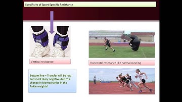 acute training variables