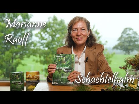 Schachtelhalm - Drachenmedizin aus der Urzeit