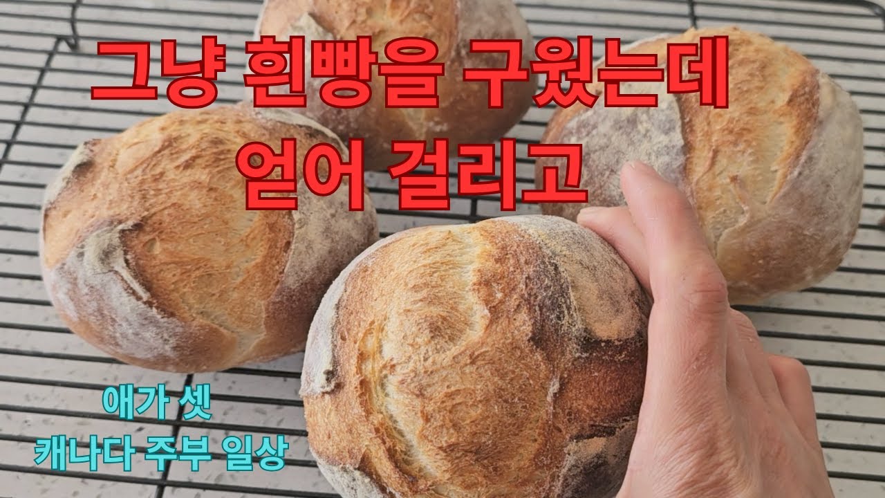 (🇨🇦Vlog)집밥일상ㅣ정체모를 빵 굽다 얻어 걸린 이쁜 흰빵ㅣ통으로 샌드위치 만들기; 햄버거 같지만 그릴 치즈 샌드위치ㅣ애가 ...