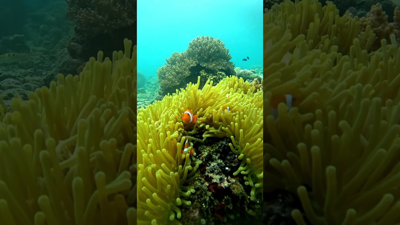 The Ocean Always Has a Surprise Waiting