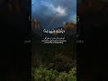 Only Allah Is The True Protector Allahuakbar Surahkhaf Islamicreels Alquran Swan Beautifulsky Only Allah Is The True Protector Allahuakbar Surahkhaf Islamicreels Alquran Swan Beautifulsky