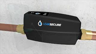 LeakSecure 2025 Wealth