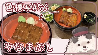【一緒に朝活】色模写の火曜日＃５６【ゆる～くお絵描き】