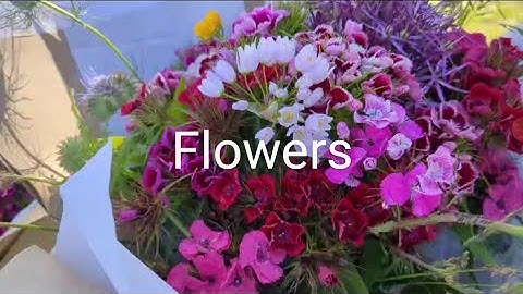 How to add a text to your video using Google photos on your Android phone