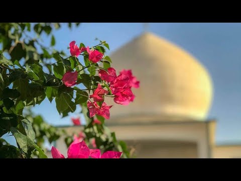 مولاي صل البردة الشريفة