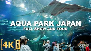 The Best DOLPHIN Show and Aquarium Park in Tokyo, Japan! MAXELL AQUA PARK SHINAGAWA | Full Tour