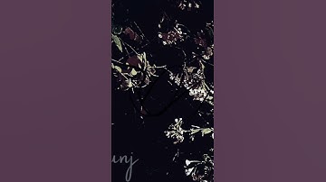 Thumbnail of aag or gunj |full song on channel graphite|#music#love#song #art#viralvideo#hiphop #edit