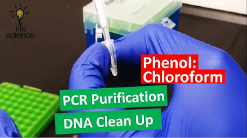 DNA Extraction - Improved Phenol:Chloroform Method