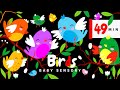 Flying birds sensory springtime party  high contrast eye tracking  fun music and animation