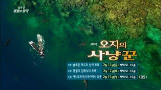 180216 동물의왕국 예고 ㅣ KBS방송