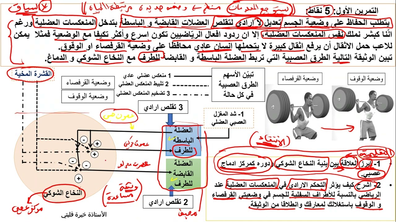 مراجعة التنظيم العصبي الحلقة 3