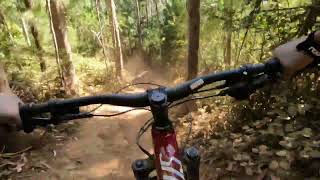 bike test Polygon Collosus N7 #polygonbike #collosusN7