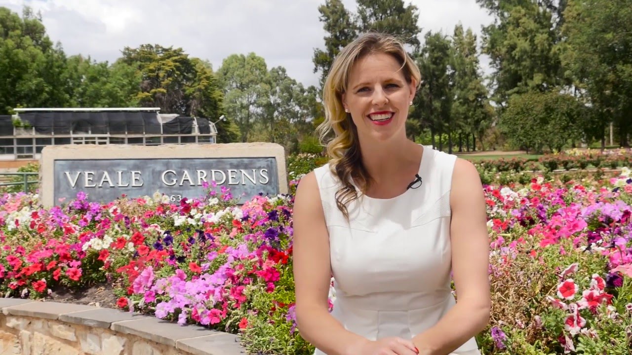 Veale Gardens  Lifestyle