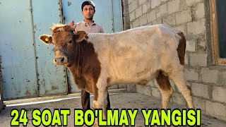 видео: Akbarshox ukamizdan yangisi HOJI AKA narxlarni yondirdib 29 октября 2025 г. картинка: Akbarshox ukamizdan yangisi HOJI AKA narxlarni yondirdib 29 октября 2025 г.