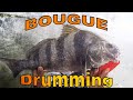 Fish kingz drumming at the bogue