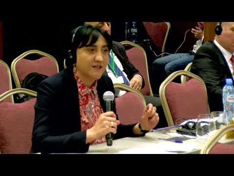 კონფლიქტური ვითარება რუსეთთან და დარეგულირების გზები.