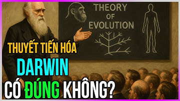 Thuyết tiến hoá của Darwin có ĐÚNG không? [Dưa Leo DBTT]