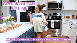 2024 SPRING CLEAN WITH ME | grocery haul, fridge clean out, mini closet declutter