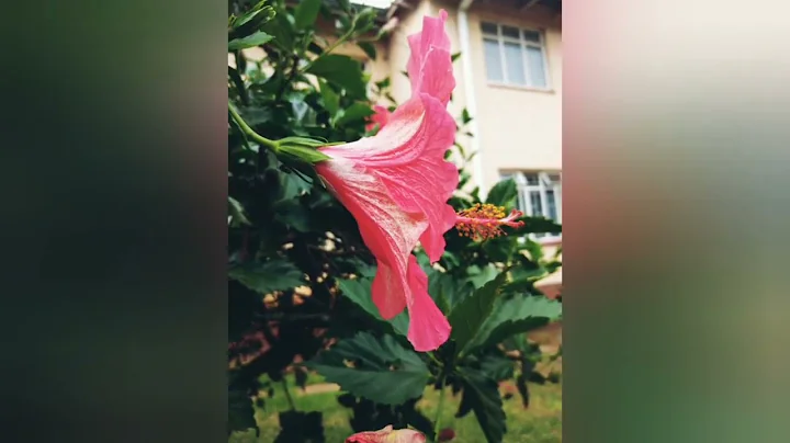 MDeeKay MIX (Deep House). SGVO, Dearson, Andileandy, Enosoul, DJ Couza, EyeRonik, Stones & Bones