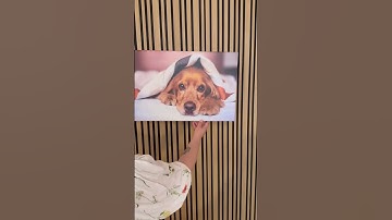 Your Photo on Canvas | MYPICTURE.com.au