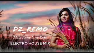 MOLA KAISE LAGE RAJA ...ELECTRO HOUSE MIX...DZ REMO .& DJ REMO MUSIC ZONE