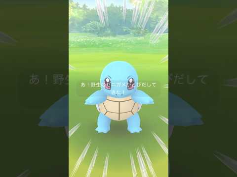 【ポケモンGO】でかい！ゼニガメ #ポケモンgo #pokemongo