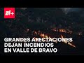 Fuego acaba con nueva generación de árboles en Valle de Bravo - En Punto