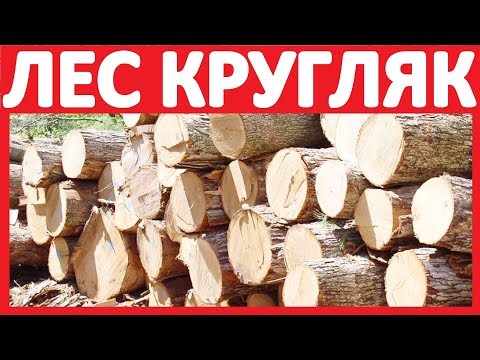 ᐉ 1OO% КУПИТЬ ЛЕС СОСНА КРУГЛЯК? Брус Цена Берёза Пиломатериал Оптом Доска | ЗВОНИ ☎ +79235387770